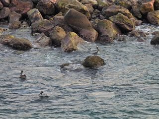 Filename=DSCN1326.JPG
Filesize=6791KiB
Dimensions=4608x3456
Date added=Jan 19, 2023 DSCN1326.JPG