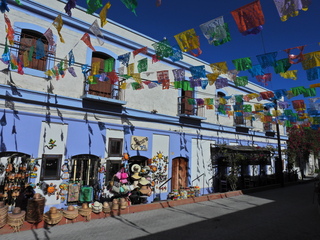 Filename=DSCN1407.JPG
Filesize=6665KiB
Dimensions=4608x3456
Date added=Jan 20, 2023 DSCN1407.JPG