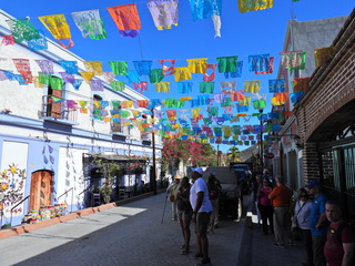 Filename=DSCN1408.JPG
Filesize=7247KiB
Dimensions=4608x3456
Date added=Jan 20, 2023 DSCN1408.JPG