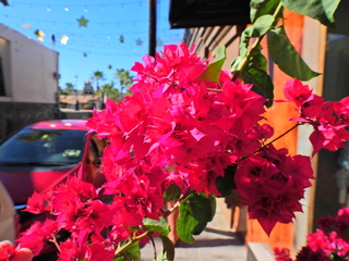 Filename=DSCN1410.JPG
Filesize=7291KiB
Dimensions=4608x3456
Date added=Jan 20, 2023 DSCN1410.JPG