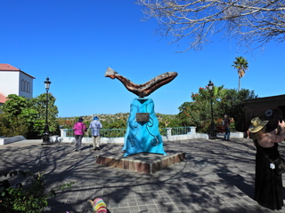 Filename=DSCN1414.JPG
Filesize=7124KiB
Dimensions=4608x3456
Date added=Jan 20, 2023 DSCN1414.JPG