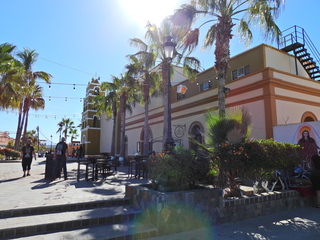 Filename=DSCN1425.JPG
Filesize=7274KiB
Dimensions=4608x3456
Date added=Jan 20, 2023 DSCN1425.JPG