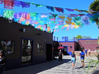 Filename=DSCN1434.JPG
Filesize=6938KiB
Dimensions=4608x3456
Date added=Jan 20, 2023 DSCN1434.JPG