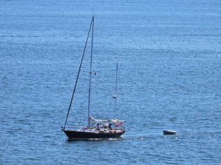 Filename=DSCN1628.JPG
Filesize=6987KiB
Dimensions=4608x3456
Date added=Jun 10, 2023 DSCN1628.JPG