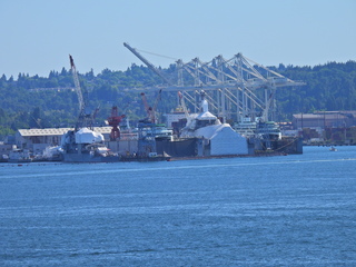 Filename=DSCN1634.JPG
Filesize=6492KiB
Dimensions=4608x3456
Date added=Jun 10, 2023 DSCN1634.JPG