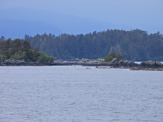 Filename=DSCN1671.JPG
Filesize=6828KiB
Dimensions=4608x3456
Date added=Jun 10, 2023 DSCN1671.JPG