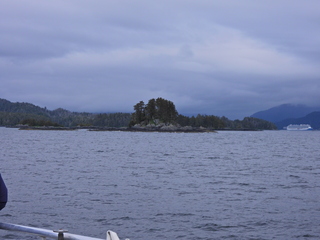 Filename=DSCN1675.JPG
Filesize=6267KiB
Dimensions=4608x3456
Date added=Jun 10, 2023 DSCN1675.JPG