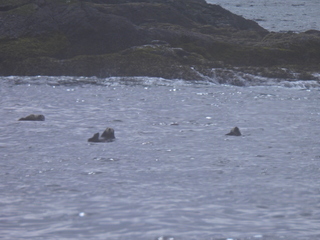 Filename=DSCN1676.JPG
Filesize=6092KiB
Dimensions=4608x3456
Date added=Jun 10, 2023 DSCN1676.JPG