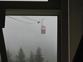 Filename=DSCN1685.JPG
Filesize=7132KiB
Dimensions=4608x3456
Date added=Jun 10, 2023 DSCN1685.JPG