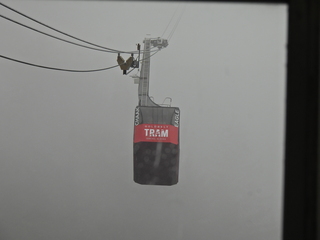 Filename=DSCN1686.JPG
Filesize=6198KiB
Dimensions=4608x3456
Date added=Jun 10, 2023 DSCN1686.JPG