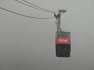 Filename=DSCN1687.JPG
Filesize=6056KiB
Dimensions=4608x3456
Date added=Jun 10, 2023 DSCN1687.JPG