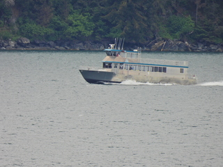 Filename=DSCN1698.JPG
Filesize=7295KiB
Dimensions=4608x3456
Date added=Jun 10, 2023 DSCN1698.JPG