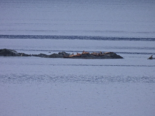 Filename=DSCN1709.JPG
Filesize=6702KiB
Dimensions=4608x3456
Date added=Jun 10, 2023 DSCN1709.JPG