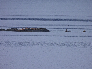 Filename=DSCN1710.JPG
Filesize=7391KiB
Dimensions=4608x3456
Date added=Jun 10, 2023 DSCN1710.JPG