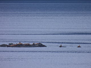 Filename=DSCN1713.JPG
Filesize=6678KiB
Dimensions=4608x3456
Date added=Jun 10, 2023 DSCN1713.JPG