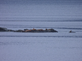 Filename=DSCN1714.JPG
Filesize=7199KiB
Dimensions=4608x3456
Date added=Jun 10, 2023 DSCN1714.JPG