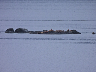 Filename=DSCN1715.JPG
Filesize=7026KiB
Dimensions=4608x3456
Date added=Jun 10, 2023 DSCN1715.JPG