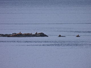 Filename=DSCN1716.JPG
Filesize=6571KiB
Dimensions=4608x3456
Date added=Jun 10, 2023 DSCN1716.JPG