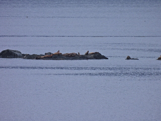 Filename=DSCN1717.JPG
Filesize=7188KiB
Dimensions=4608x3456
Date added=Jun 10, 2023 DSCN1717.JPG