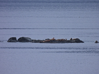 Filename=DSCN1718.JPG
Filesize=7461KiB
Dimensions=4608x3456
Date added=Jun 10, 2023 DSCN1718.JPG