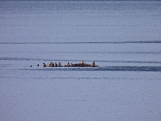 Filename=DSCN1719.JPG
Filesize=7043KiB
Dimensions=4608x3456
Date added=Jun 10, 2023 DSCN1719.JPG