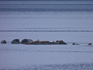 Filename=DSCN1722.JPG
Filesize=6588KiB
Dimensions=4608x3456
Date added=Jun 10, 2023 DSCN1722.JPG