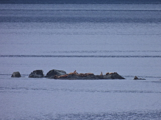 Filename=DSCN1723.JPG
Filesize=6307KiB
Dimensions=4608x3456
Date added=Jun 10, 2023 DSCN1723.JPG