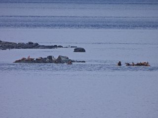 Filename=DSCN1731.JPG
Filesize=7016KiB
Dimensions=4608x3456
Date added=Jun 10, 2023 DSCN1731.JPG