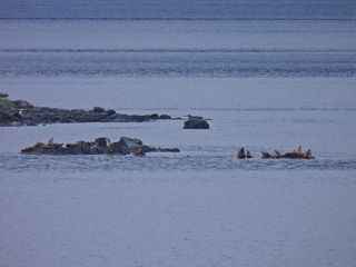 Filename=DSCN1733.JPG
Filesize=6993KiB
Dimensions=4608x3456
Date added=Jun 10, 2023 DSCN1733.JPG