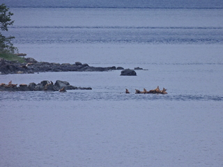 Filename=DSCN1737.JPG
Filesize=6884KiB
Dimensions=4608x3456
Date added=Jun 10, 2023 DSCN1737.JPG