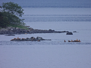 Filename=DSCN1738.JPG
Filesize=7300KiB
Dimensions=4608x3456
Date added=Jun 10, 2023 DSCN1738.JPG