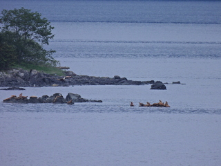 Filename=DSCN1740.JPG
Filesize=7069KiB
Dimensions=4608x3456
Date added=Jun 10, 2023 DSCN1740.JPG