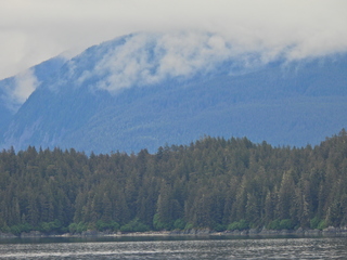 Filename=DSCN1777.JPG
Filesize=6819KiB
Dimensions=4608x3456
Date added=Jun 10, 2023 DSCN1777.JPG