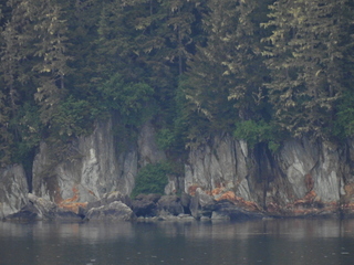 Filename=DSCN1778.JPG
Filesize=7285KiB
Dimensions=4608x3456
Date added=Jun 10, 2023 DSCN1778.JPG