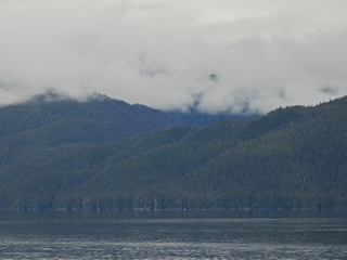 Filename=DSCN1788.JPG
Filesize=6353KiB
Dimensions=4608x3456
Date added=Jun 10, 2023 DSCN1788.JPG