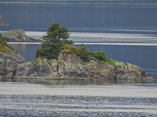 Filename=DSCN1799.JPG
Filesize=6428KiB
Dimensions=4608x3456
Date added=Jun 10, 2023 DSCN1799.JPG