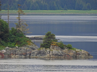 Filename=DSCN1800.JPG
Filesize=7218KiB
Dimensions=4608x3456
Date added=Jun 10, 2023 DSCN1800.JPG