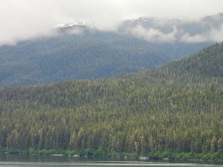 Filename=DSCN1821.JPG
Filesize=6809KiB
Dimensions=4608x3456
Date added=Jun 10, 2023 DSCN1821.JPG