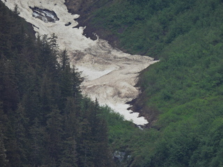 Filename=DSCN1822.JPG
Filesize=6991KiB
Dimensions=4608x3456
Date added=Jun 10, 2023 DSCN1822.JPG