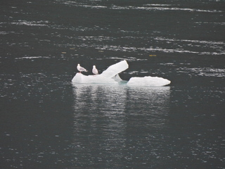 Filename=DSCN1828.JPG
Filesize=7129KiB
Dimensions=4608x3456
Date added=Jun 10, 2023 DSCN1828.JPG