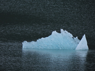 Filename=DSCN1837.JPG
Filesize=7196KiB
Dimensions=4608x3456
Date added=Jun 10, 2023 DSCN1837.JPG