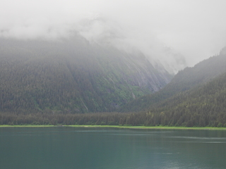 Filename=DSCN1853.JPG
Filesize=6955KiB
Dimensions=4608x3456
Date added=Jun 10, 2023 DSCN1853.JPG