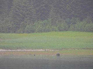 Filename=DSCN1855.JPG
Filesize=6560KiB
Dimensions=4608x3456
Date added=Jun 10, 2023 DSCN1855.JPG