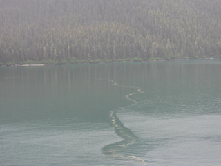 Filename=DSCN1856.JPG
Filesize=6765KiB
Dimensions=4608x3456
Date added=Jun 10, 2023 DSCN1856.JPG