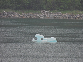 Filename=DSCN1858.JPG
Filesize=6771KiB
Dimensions=4608x3456
Date added=Jun 10, 2023 DSCN1858.JPG