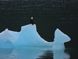 Filename=DSCN1867.JPG
Filesize=6396KiB
Dimensions=4608x3456
Date added=Jun 10, 2023 DSCN1867.JPG