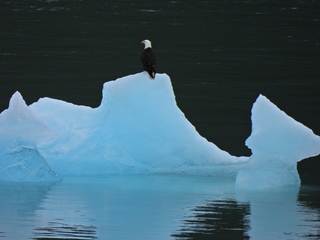 Filename=DSCN1869.JPG
Filesize=6296KiB
Dimensions=4608x3456
Date added=Jun 10, 2023 DSCN1869.JPG