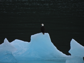 Filename=DSCN1870.JPG
Filesize=7556KiB
Dimensions=4608x3456
Date added=Jun 10, 2023 DSCN1870.JPG