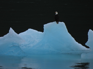 Filename=DSCN1871.JPG
Filesize=7425KiB
Dimensions=4608x3456
Date added=Jun 10, 2023 DSCN1871.JPG