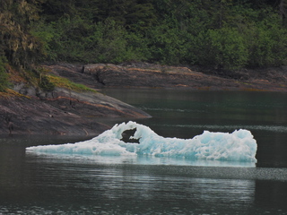 Filename=DSCN1877.JPG
Filesize=7128KiB
Dimensions=4608x3456
Date added=Jun 10, 2023 DSCN1877.JPG